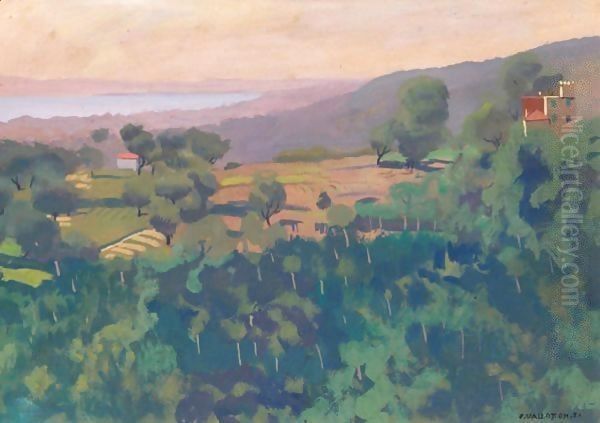 Hill Above Cagnes, In The Morning Oil Painting by Felix Edouard Vallotton