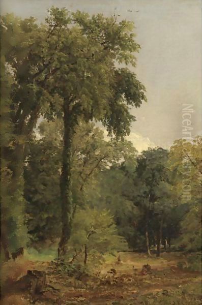 A Stand Of Trees Oil Painting by Jasper Francis Cropsey