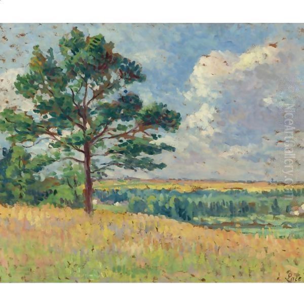 Paysage Pres De Mereville Oil Painting by Maximilien Luce