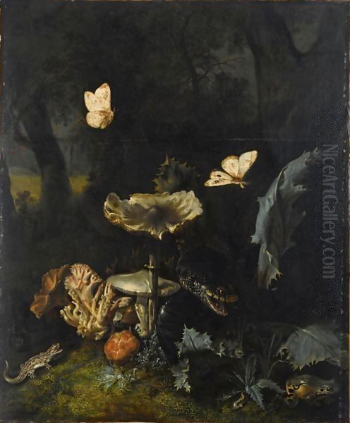 A Forest Floor Still Life With Various Fungi, Thistles, An Aspic Viper, A Sand Lizard, A Snail, A Tree Frog And Two Moths Oil Painting by Otto Marseus van Schrieck