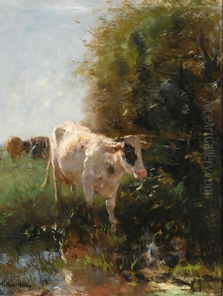 A Watering Cow Oil Painting by Willem Maris