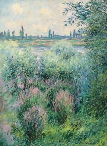 Bords De La Seine, Un Coin De Berge Oil Painting by Claude Oscar Monet