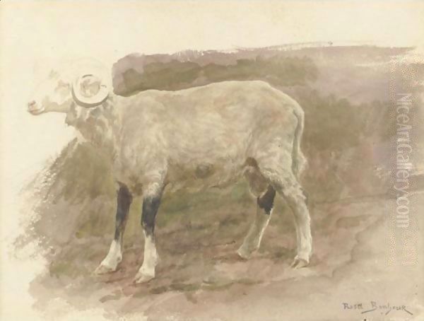 Study Of A Ram Oil Painting by Rosa Bonheur