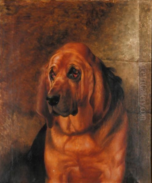 Portrait Of A Bloodhound Oil Painting by Robert Nightingale