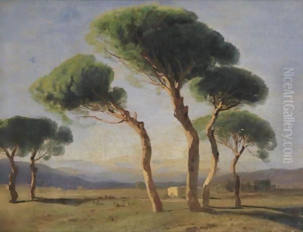 Study Of Umbrella Pines Oil Painting by Alexandre Calame