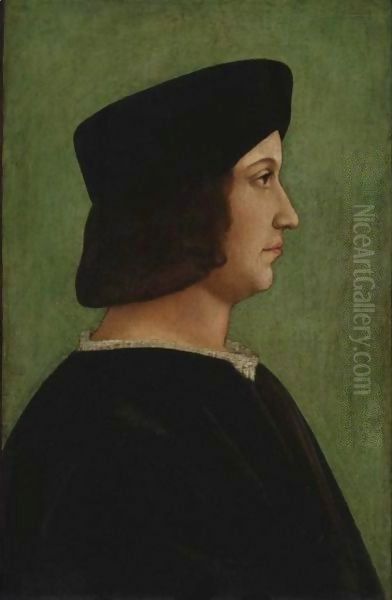 Portrait Of A Man Oil Painting by Bernardino de' Conti