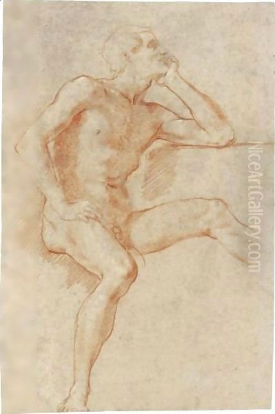 Study Of A Male Nude, Seated, Resting His Chin On His Left Hand Oil Painting by Baldassarre Franceschini