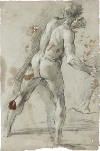 A Standing Male Figure, Seen From Behind, Clutching A Stone In His Right Hand Oil Painting by Pier Francesco Mola