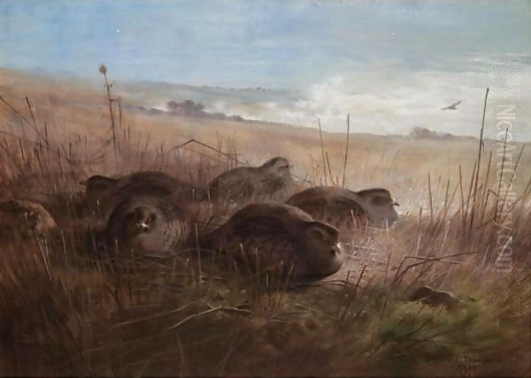 A Moonlight Night In The Open, Grey Partridges Oil Painting by Archibald Thorburn