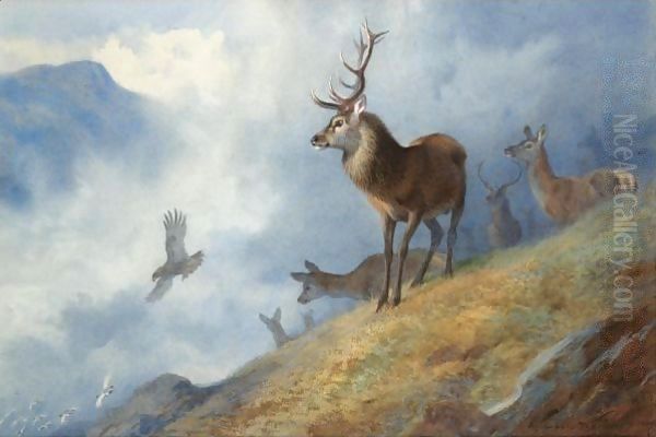 Red Deer Watching A Golden Eagle Hunt Ptarmigan Oil Painting by Archibald Thorburn