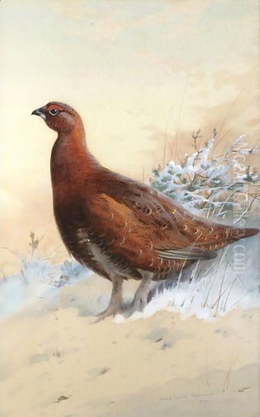 A Red Grouse In The Snow by Archibald Thorburn