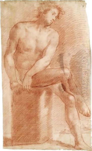 A Seated Male Nude, His Legs Crossed Oil Painting by Vincenzo Dandini