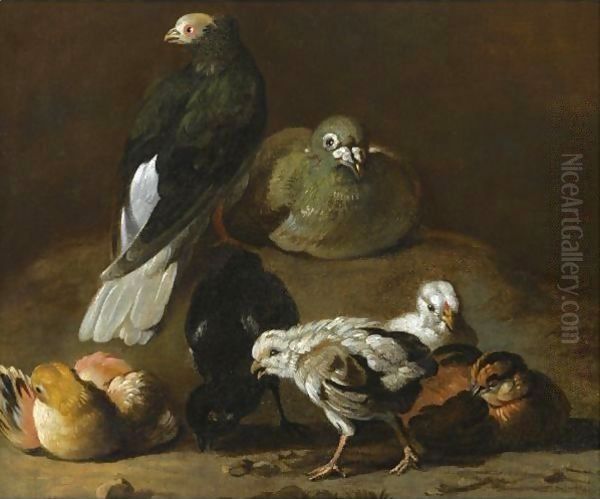 A Still Life With A Couple Of Pigeons Nesting And Preening Together With Four Chicks Oil Painting by Jan Victors