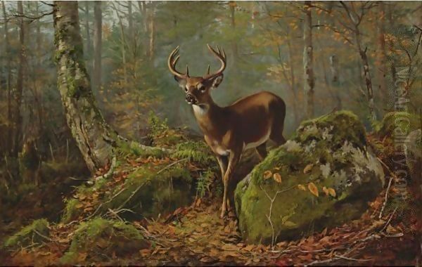 Buck In The Forest Oil Painting by Arthur Fitzwilliam Tait