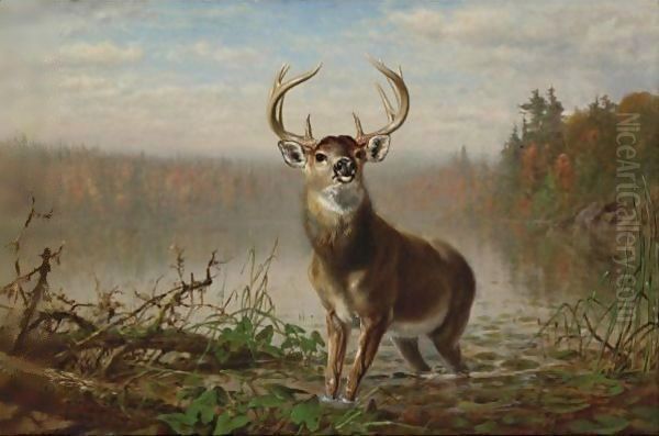 On The Alert Oil Painting by Arthur Fitzwilliam Tait