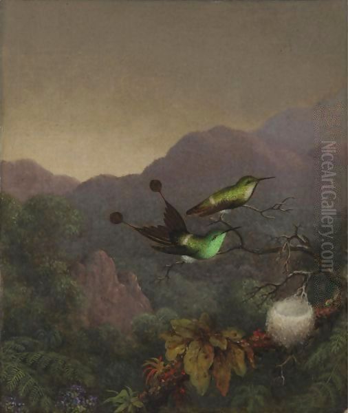 Racket-Tail, Brazil Oil Painting by Martin Johnson Heade