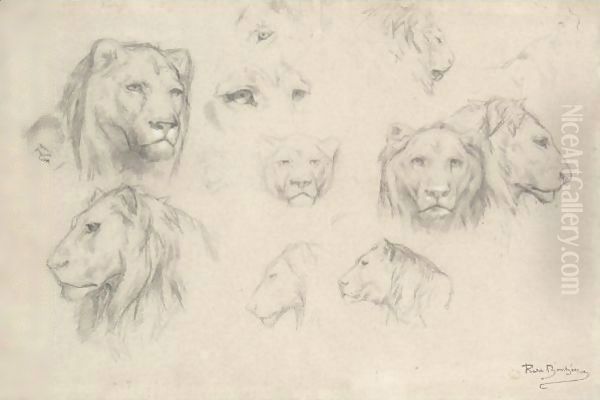 Study Of Lions And Lionesses Oil Painting by Rosa Bonheur