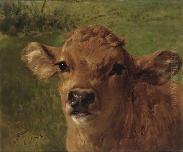 Head Of A Calf Oil Painting by Rosa Bonheur