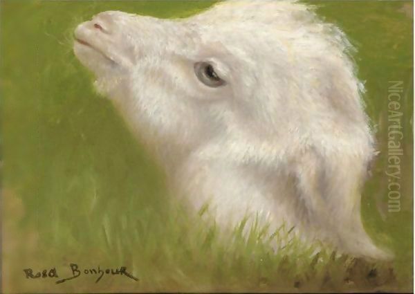 Head Of A Lamb Oil Painting by Rosa Bonheur