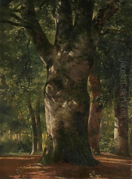 Tronc De Hetre Stem Of A Beech Tree Oil Painting by Alexandre Calame