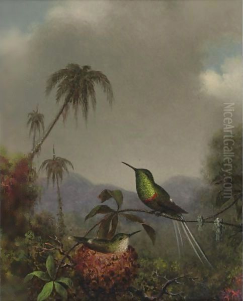 Two Thorn-Tails (Langsdorffs Thorn-Tail, Brazil) Oil Painting by Martin Johnson Heade