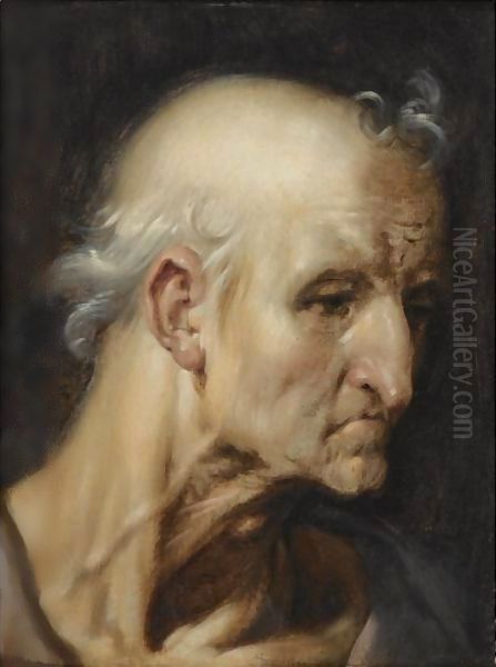 Study Of The Head Of An Old Man Oil Painting by Cornelis Cornelisz Van Haarlem