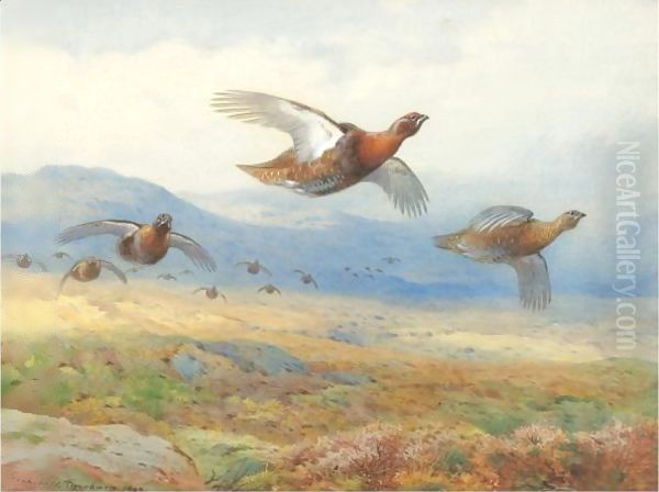 A Covey Of Grouse In Flight Oil Painting by Archibald Thorburn