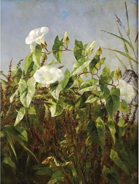 Morning Glories Oil Painting by Anthonore Christensen