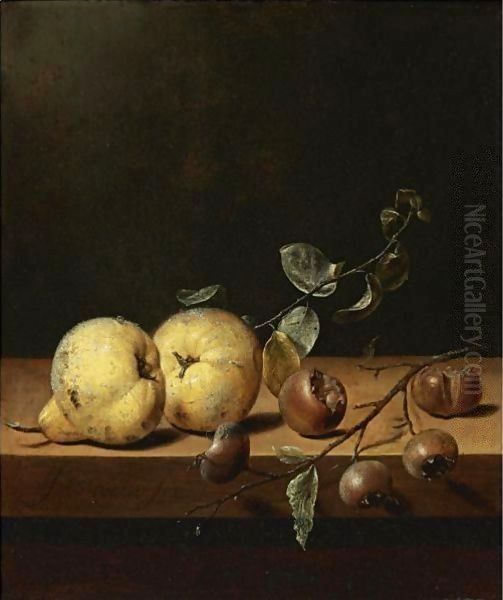 Quinces And Medlars On A Table Ledge Oil Painting by Jan Jansz. Van De Velde