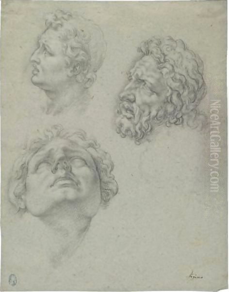 Studies Of Heads After The Laocoon Oil Painting by Giovanni Ambrogio Figino