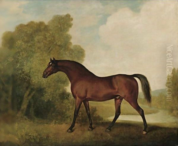 Ambrosio, A Bay Stallion, The Property Of Thomas Haworth Oil Painting by George Stubbs