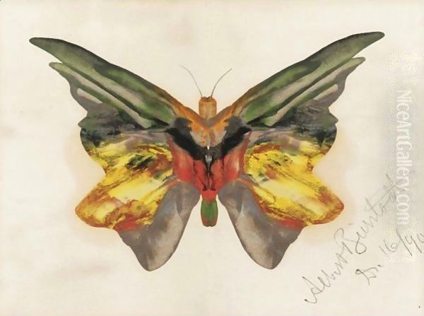 Butterfly 4 Oil Painting by Albert Bierstadt