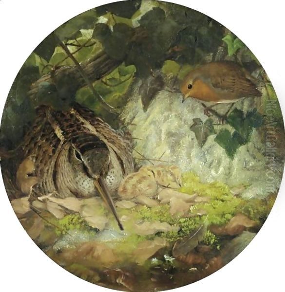 A Woodcock With Its Young And A Robin Oil Painting by Joseph Wolf