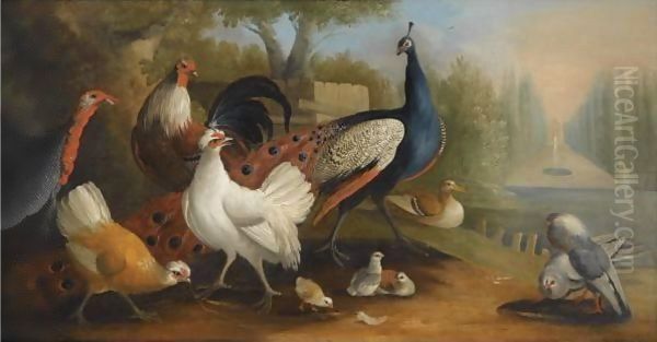 A Peacock, A Turkey, Chickens And Doves In A Garden Setting Oil Painting by Pieter Casteels III