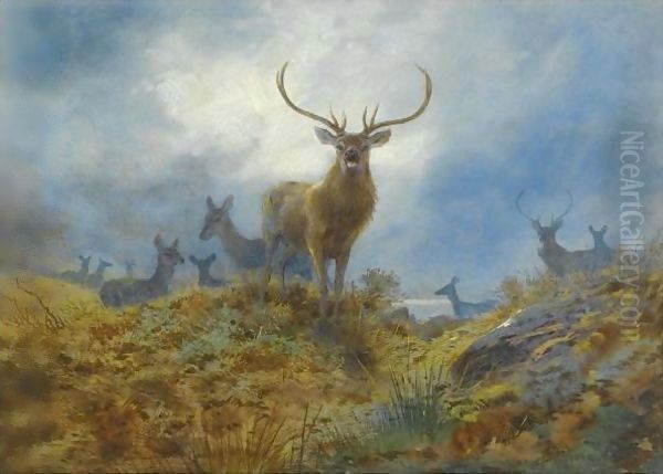 The Last Chance Before Dark Oil Painting by Archibald Thorburn