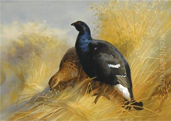 Blackgame On Corn Stooks Oil Painting by Archibald Thorburn