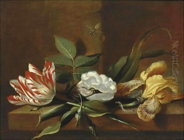 Still Life With A Yellow Iris, A Parrot Tulip, A White Rose And Insects On A Wooden Table Ledge Oil Painting by Jacob Marrel