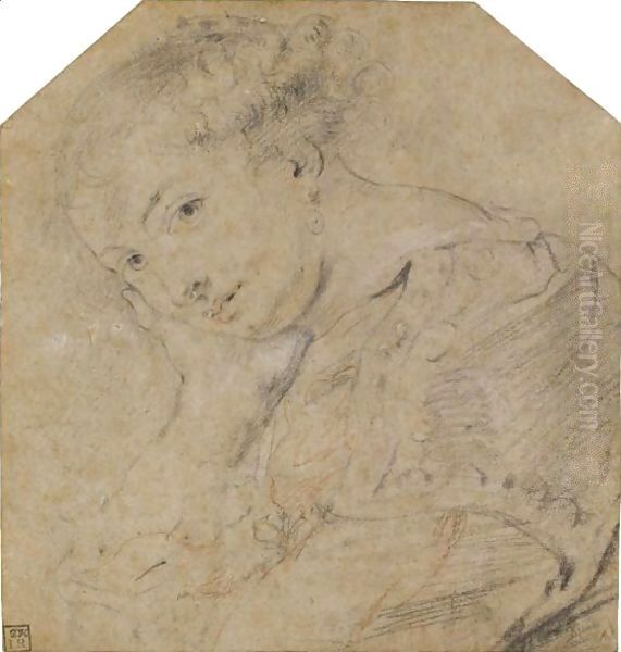 Study Of A Young Woman (Helene Fourment) Oil Painting by Peter Paul Rubens