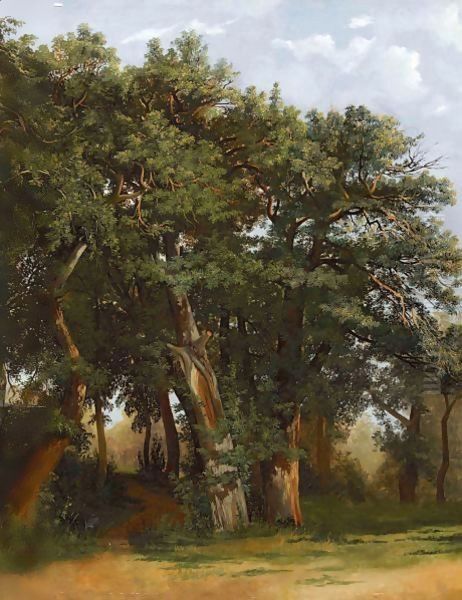 Groupe De Chenes Group Of Oak Trees Oil Painting by Alexandre Calame