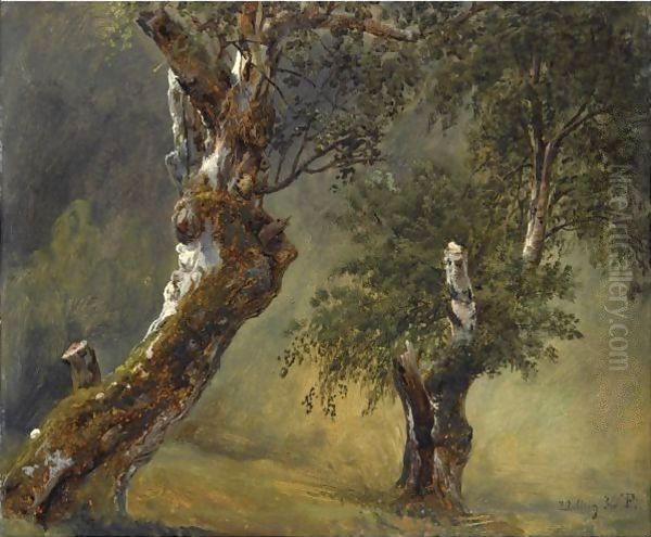 Studie Av Trar (Study Of Trees) Oil Painting by Thomas Fearnley