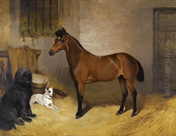 A Chestnut Horse With A Sheepdog And Terrier In A Stable Oil Painting by John Charlton