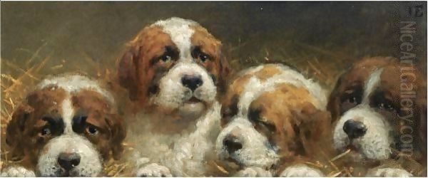 Four Curious Saint Bernards Puppies Oil Painting by Otto Eerelman