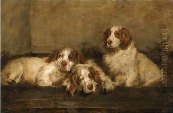 Clumber Spaniels In A Kennel Oil Painting by John Emms