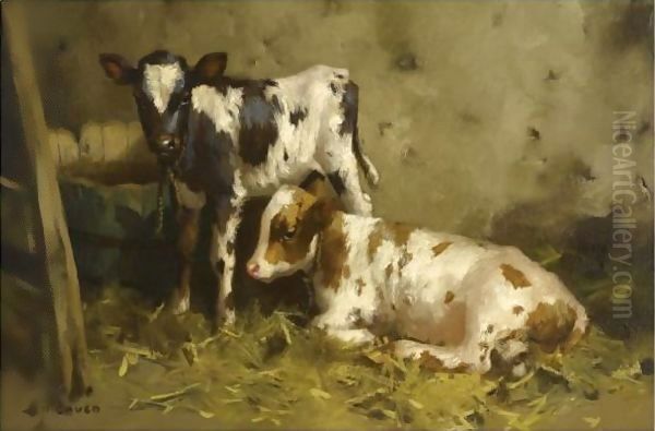 Ayrshire Calves 3 Oil Painting by David Gauld