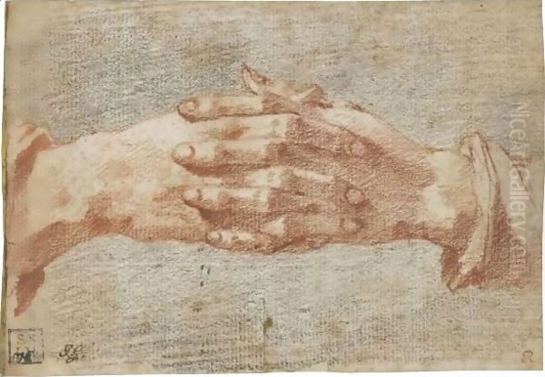 Study Of Clasped Hands Oil Painting by Andrea Boscoli