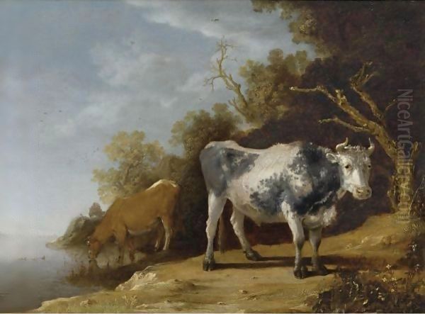 Cattle Standing On A Riverbank Oil Painting by Paulus Potter