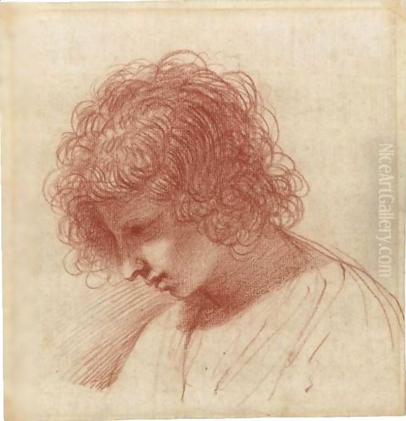 Head Of A Young Man In Profile, Looking Down To The Left Oil Painting by Giovanni Francesco Barbieri