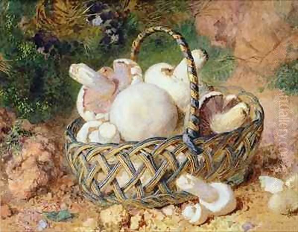 A Basket of Mushrooms Oil Painting by Jabez Bligh