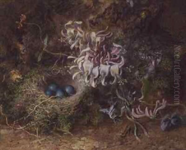 Bird's Nest and Honeysuckle Oil Painting by Jabez Bligh