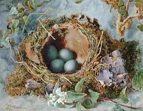 A Nest of Eggs Oil Painting by Jabez Bligh